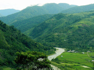 Taman gunung leuser