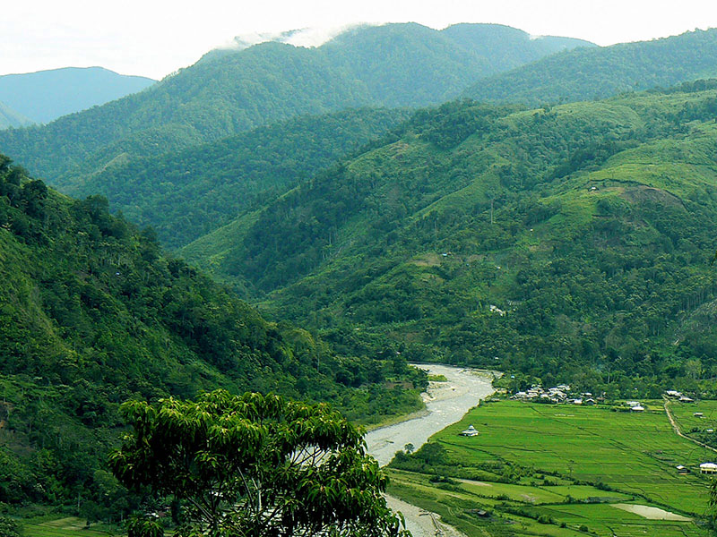 Taman gunung leuser